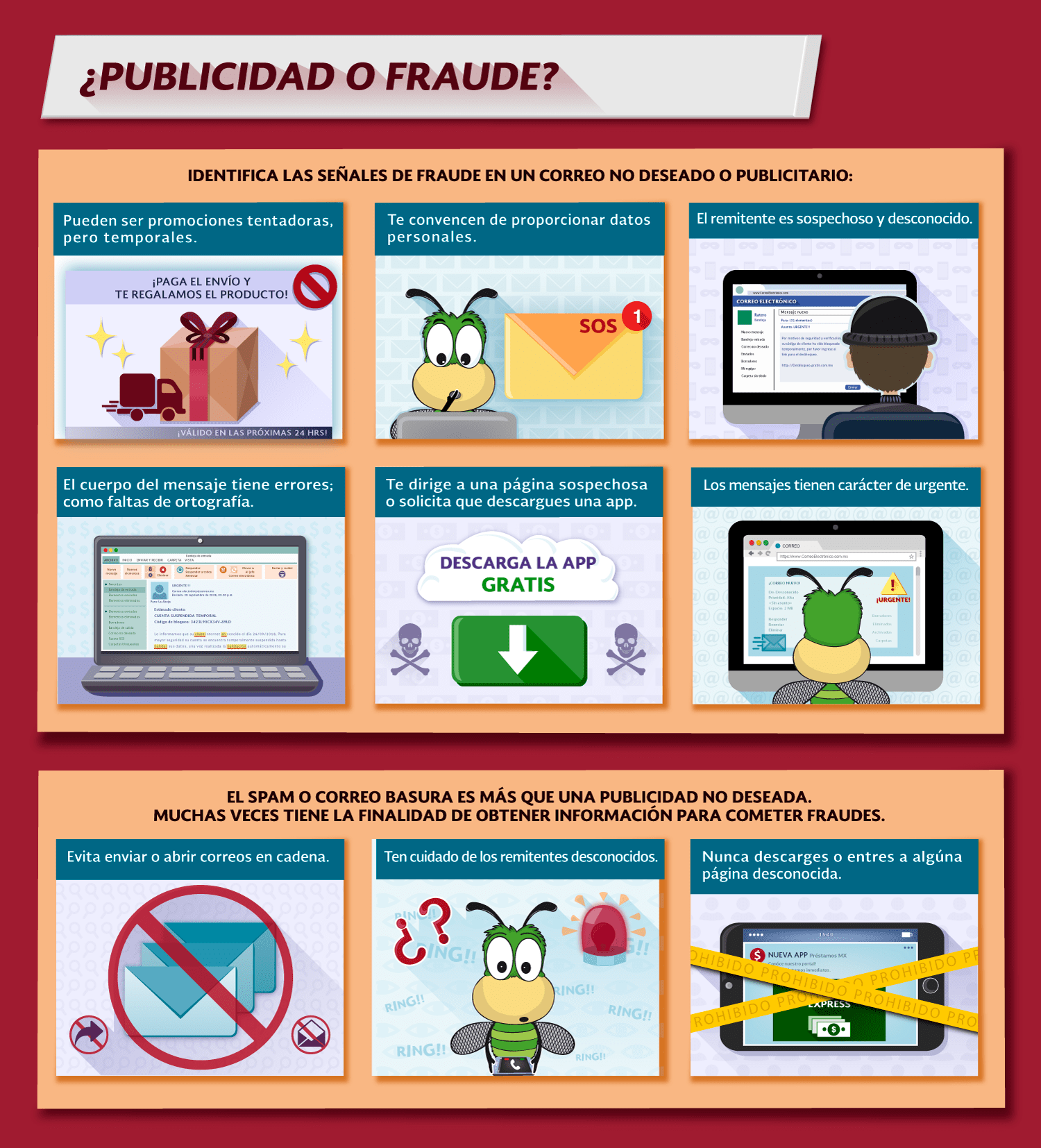 Imagen 5